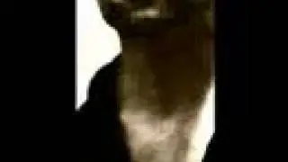 Mr. J. Medeiros 