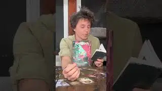 LEO - The Hummingbird Wisdom Oracle (Insert from Mid April 2023 Reading)