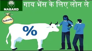 Get NABARD Subsidized Bank  Loan for Dairy business with full Project Report