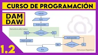 Representación de algoritmos  ☕ DAM - DAW