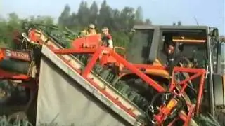 SIMON RPN3TMR - LEEK HARVESTER
