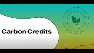Carbon credits - 10 tips for landowners looking to invest in the UK voluntary carbon market