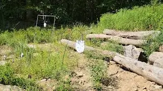 AR 550 50 bmg 100 yards