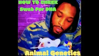 How to DNA test your dog with Animal Genetics *cheek swab*