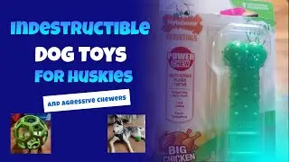 Great toys for destructive puppies 🐾🎾 #husky #dog #dogtoys