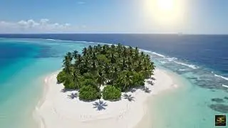 Reggae Relajante Caribe&ntilde;o 🌴 M&uacute;sica para Fluir