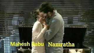 Adorable Pic  Mahesh Namratha | Mahesh Babu | Tollywood Latest News | Tollyticket