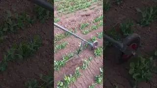 most Important agriculture tools in the world #shorts #agriculture #tricks