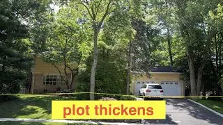 Gunman shoots family of Judge hearing Epstein's bank lawsuit