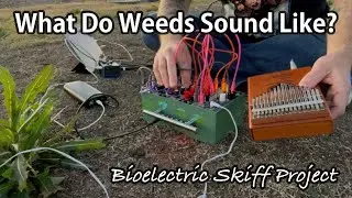 What Do Weeds Sound Like? | Bioelectric Skiff Project