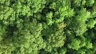 Music Connects Nature 🍂 TVIHD Music Connects, Relaxing Nature Sounds