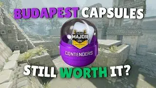 CS2 Budapest Capsules – Watch This Before You Buy!