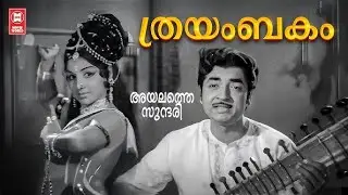 Thrayambakam...  | Ayalathe Sundari | Prem Nazir | Old Malayalam Song | Old Is Gold