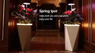 Spring Ipot Smart Flower Pot Tailored For You & Your Plants - Smart Iot Pet Planter