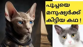 When Did Cats Become Friends With Humans? Explained in Malayalam | Cats Interesting Facts and Info