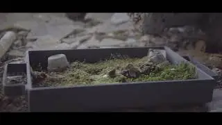 Abandoned German Mine