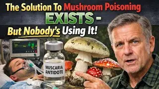 How One Country ELIMINATED Mushroom Deaths - Why Won't America Do This?