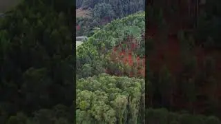 🧐Video Completo Nel Mio Canale @DroneGeneration #dronegeneration #drone #mini2 #dji #ambientdrone