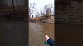 How to CATCH lots more STEELHEAD