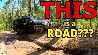 Nowra Day Trip to Jerrawangala | Hidden Swimming Spot & 4x4 Adventure NSW