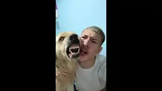 Escobedito-Rocky tema rabioso Tik Tok