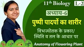 L-2, विभज्योतक के प्रकार-स्थिति व तल के आधार पर | अध्याय-6, पुष्पी पादपों का शारीर | 11th Biology