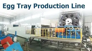 Fully automatic egg tray production line: efficient and environmentally friendly solution