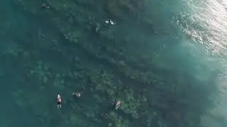 Open Water Swimming Aerial Drone Footage Watersport
