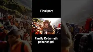 monkey video jiska dream hai Kedarnath janabe like Karen # #viral #monkey #vlog #kedarnath