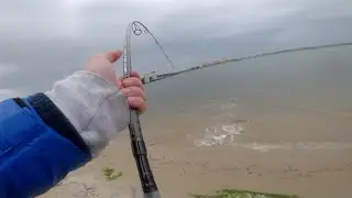 Back Bay Spring Time Striped Bass in Cold Water! (Tagging for Gray Fish Tag)