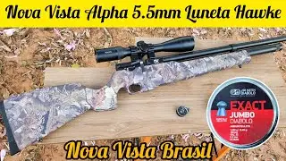 TESTE DE PRECIS&Atilde;O: CARABINA NOVA VISTA ALPHA COM CHUMBOS JSB DE 15,89 grains