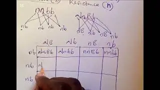 DIHYBRID CROSS ❌: PART 1. The professor is In.