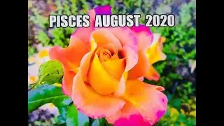 Pisces August 2020 Tarot Reading