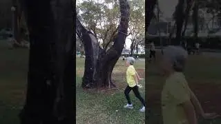 Qigong at Lumpini Park with Monitor Lizard