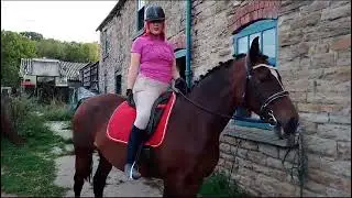 SoHo Equestrian Brand Ambassador video