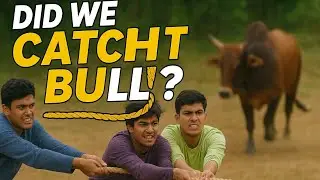We Couldn&rsquo;t Let Him Die | Bull Rescue Story