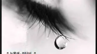 눈물샘  - 천단비