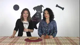 Can My Dog Show  - Can My Dog Eat Pumpkin Pie - Is Pumpkin Pie Safe For Dogs?