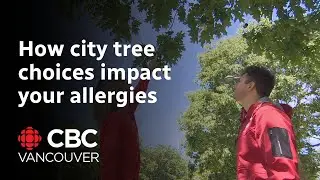 Why planting 100,000 trees in Vancouver isn't as easy as it sounds