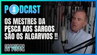 🎤 Os mestres da pesca aos sargos 🎣 s&atilde;o os Algarvios!