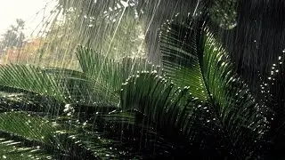 Let it Rain - PandaPrime