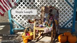 Staple length