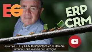 Sistemas ERP y CRM Bioinspirados en el CEREBRO HUMANO y en Colonias de HORMIGAS