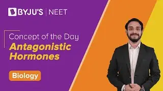 Antagonistic Hormones | BIOLOGY | NEET | Concept of the Day | Pushpendu Sir