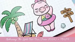 Unboxing:  The Little Bits Box (June 2024) + PWM