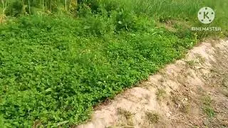 #lesun ka khubsurat nazara dekhy barkhudar vlog #barkhudarvlog