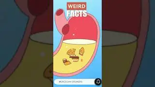 Weird Stomach Facts - Human stomach can dissolve 