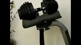 Bowflex Dumbbells 