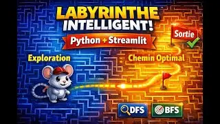 Labyrinthe Intelligent en Python 🐭 | Exploration et Plus Court Chemin avec Streamlit (DFS & BFS)