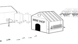 AOC Conseils : Vin - Wine - Spirit